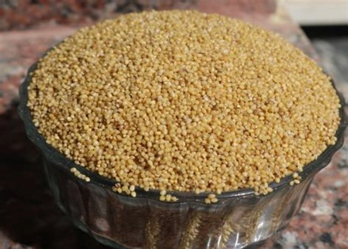 Foxtail Millet